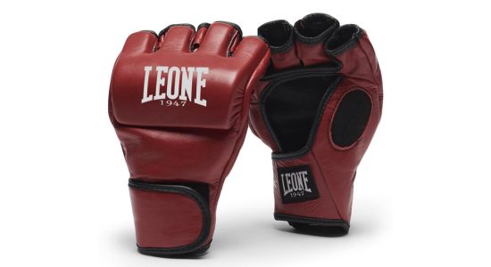 Aké rukavice si vybrať pre MMA?