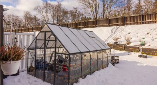 Čo sa dá v zime pestovať v skleníku?